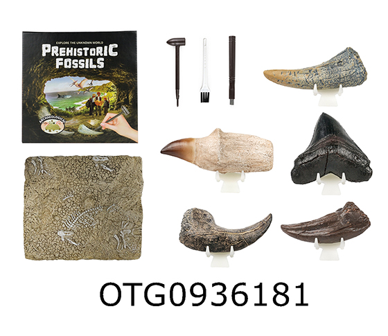 DINOSAUR FOSSILS
