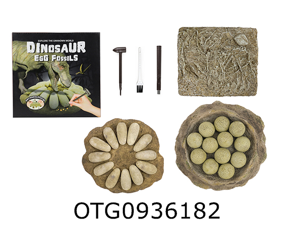 DINOSAUR FOSSILS