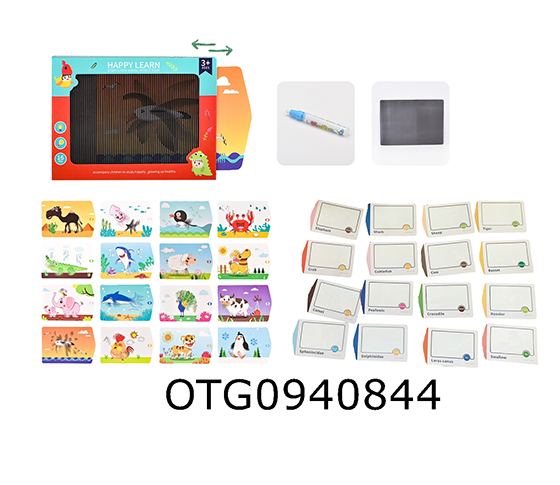 3D ANIMATION MAGIC BOX 