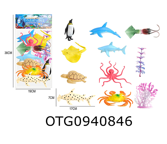 MARINE ANIMAL