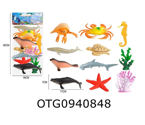MARINE ANIMAL