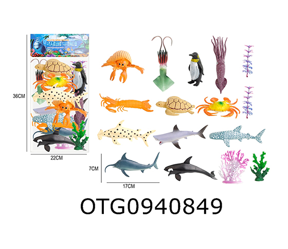 MARINE ANIMAL