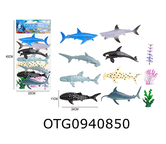 MARINE ANIMAL