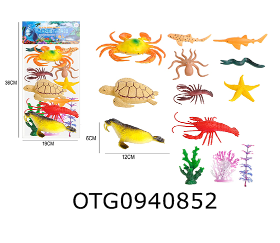 MARINE ANIMAL