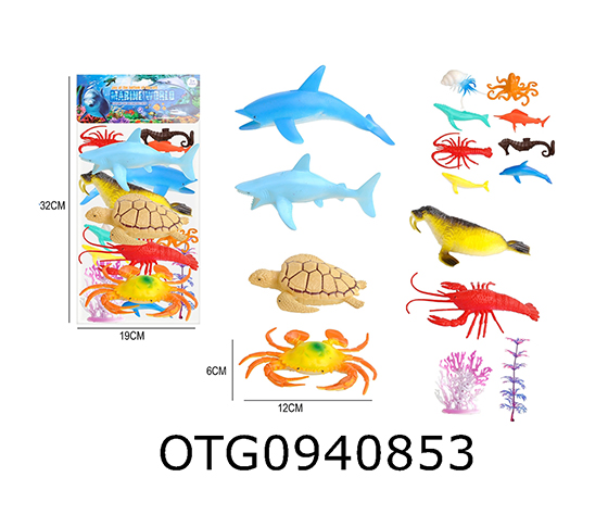 MARINE ANIMAL