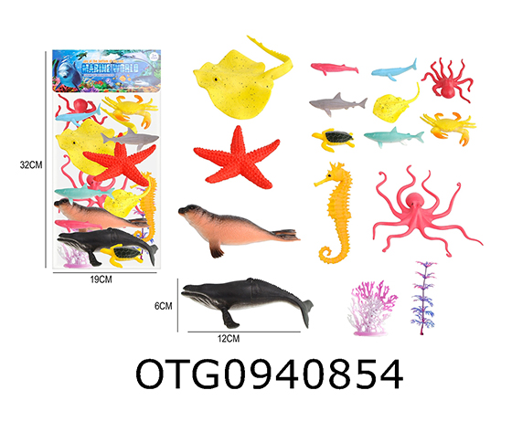 MARINE ANIMAL