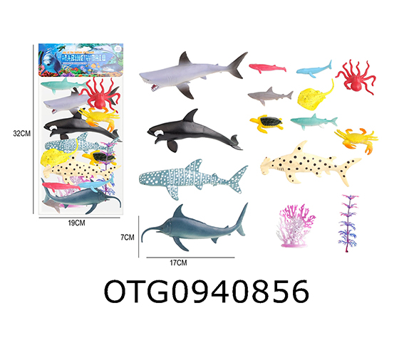 MARINE ANIMAL