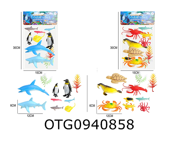MARINE ANIMAL