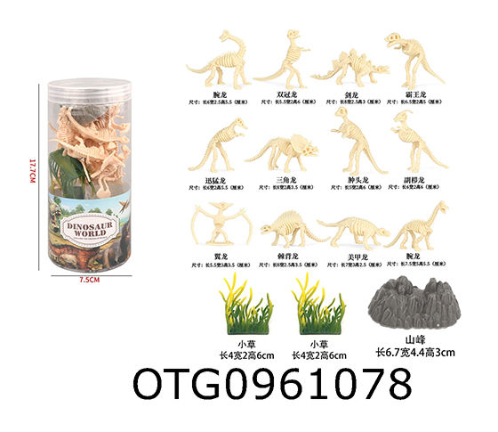 DINOSAUR FOSSIL
