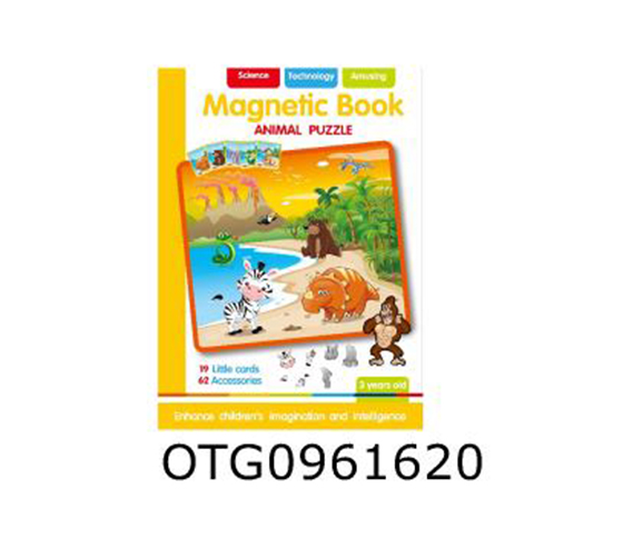 MAGNETIC BOOK