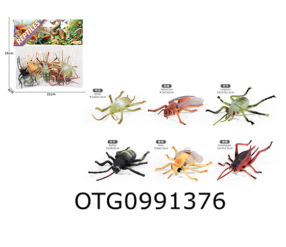INSECT