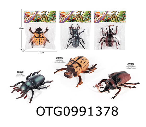 INSECT