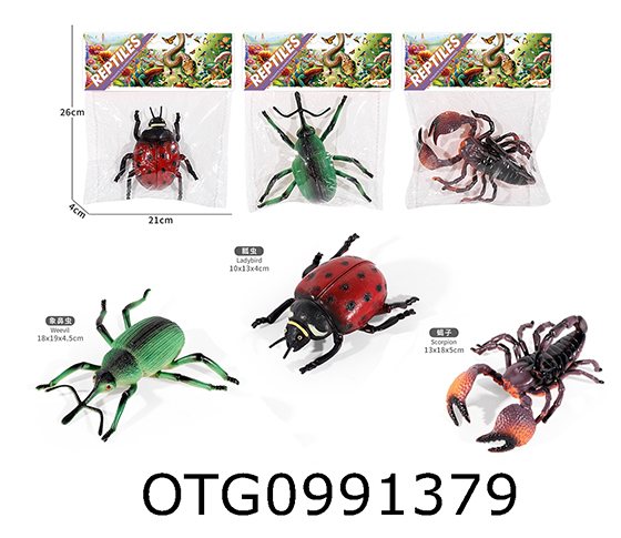 INSECT