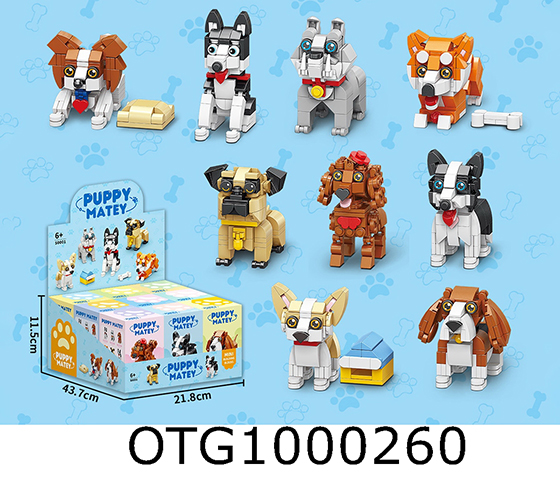 BLOCKS