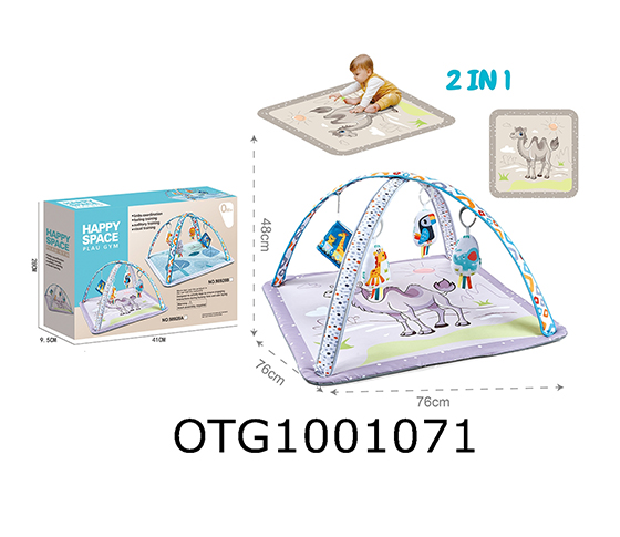 BABY GYM MAT