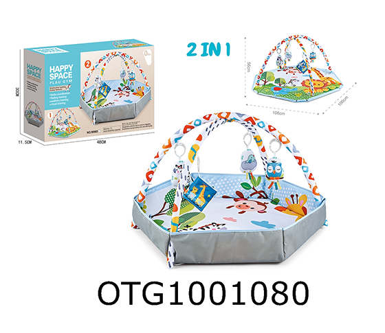 BABY GYM MAT