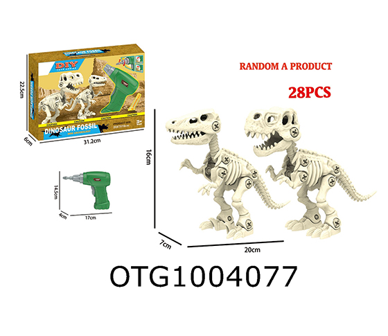 DISASSEMBLE AND ASSEMBLE DINOSAUR SKULL