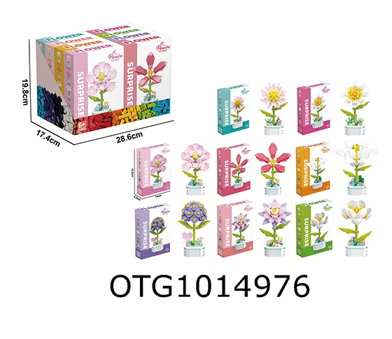 BLOCKS