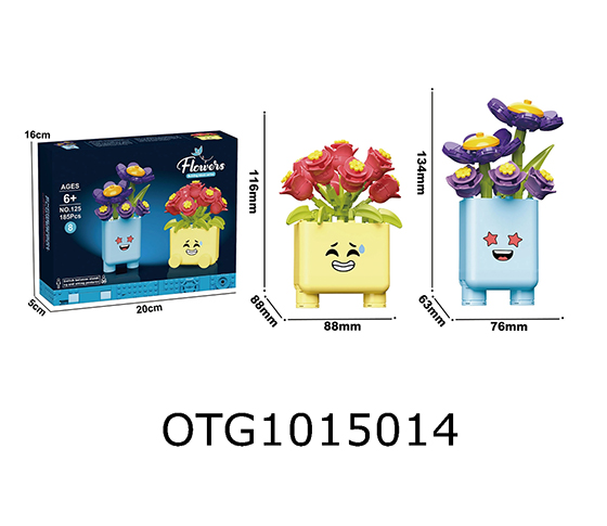 BLOCKS