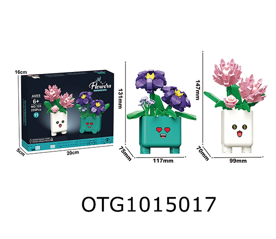 BLOCKS