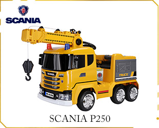 RECHARGEABLE TRUCK CRANE LICENSED